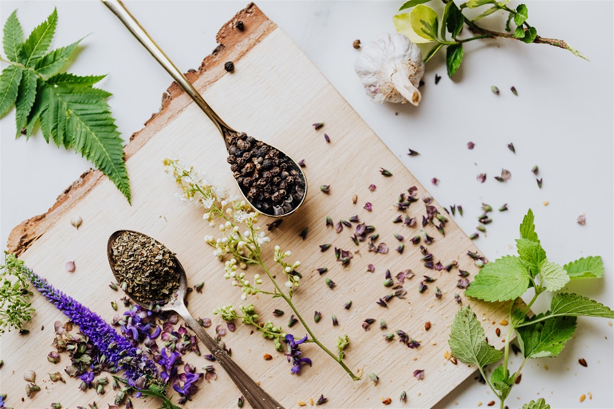 Fresh Herbs, Botanicals & Peppercorns in Brass Spoons